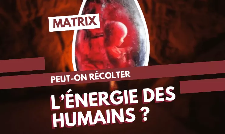 énergie des humains