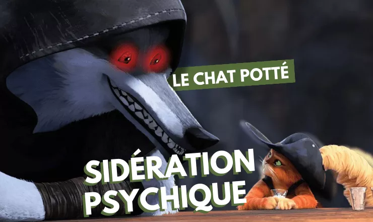 Le chat Potté, la sidération psychique